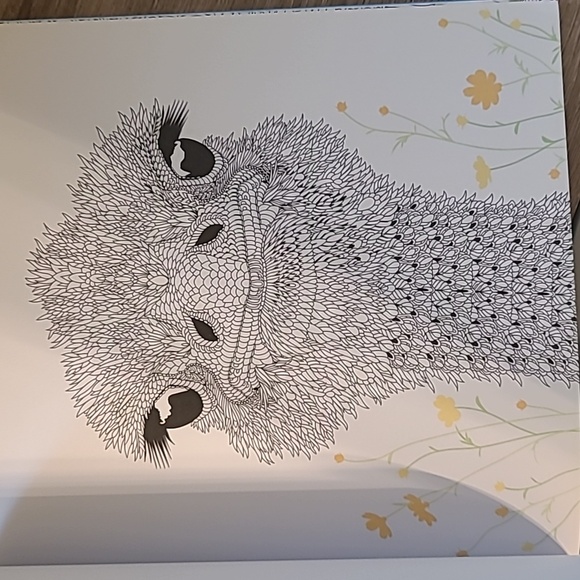 The Aviary Bird Portraits To Color, 32 pages, NEW - Picture 13 of 13